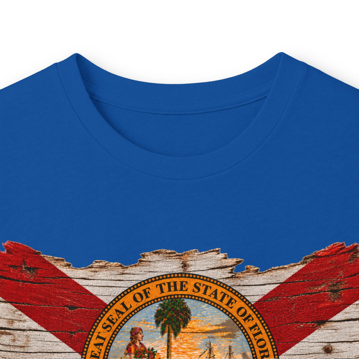 Save Old Florida Unisex Ultra Cotton Long Sleeve Tee
