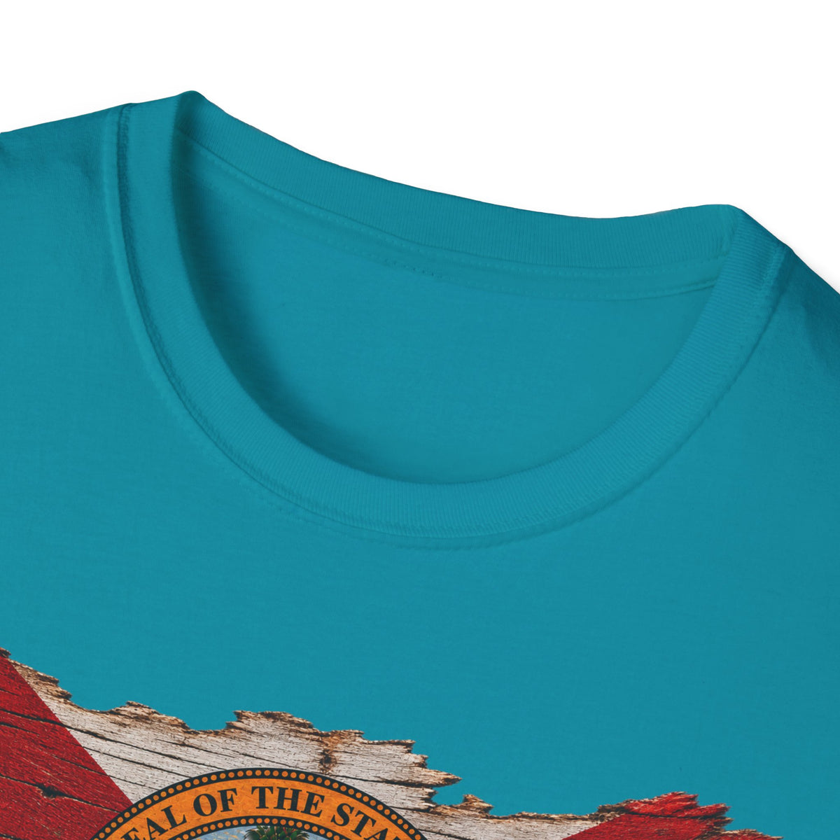 Save Old Florida Unisex Softstyle T-Shirt