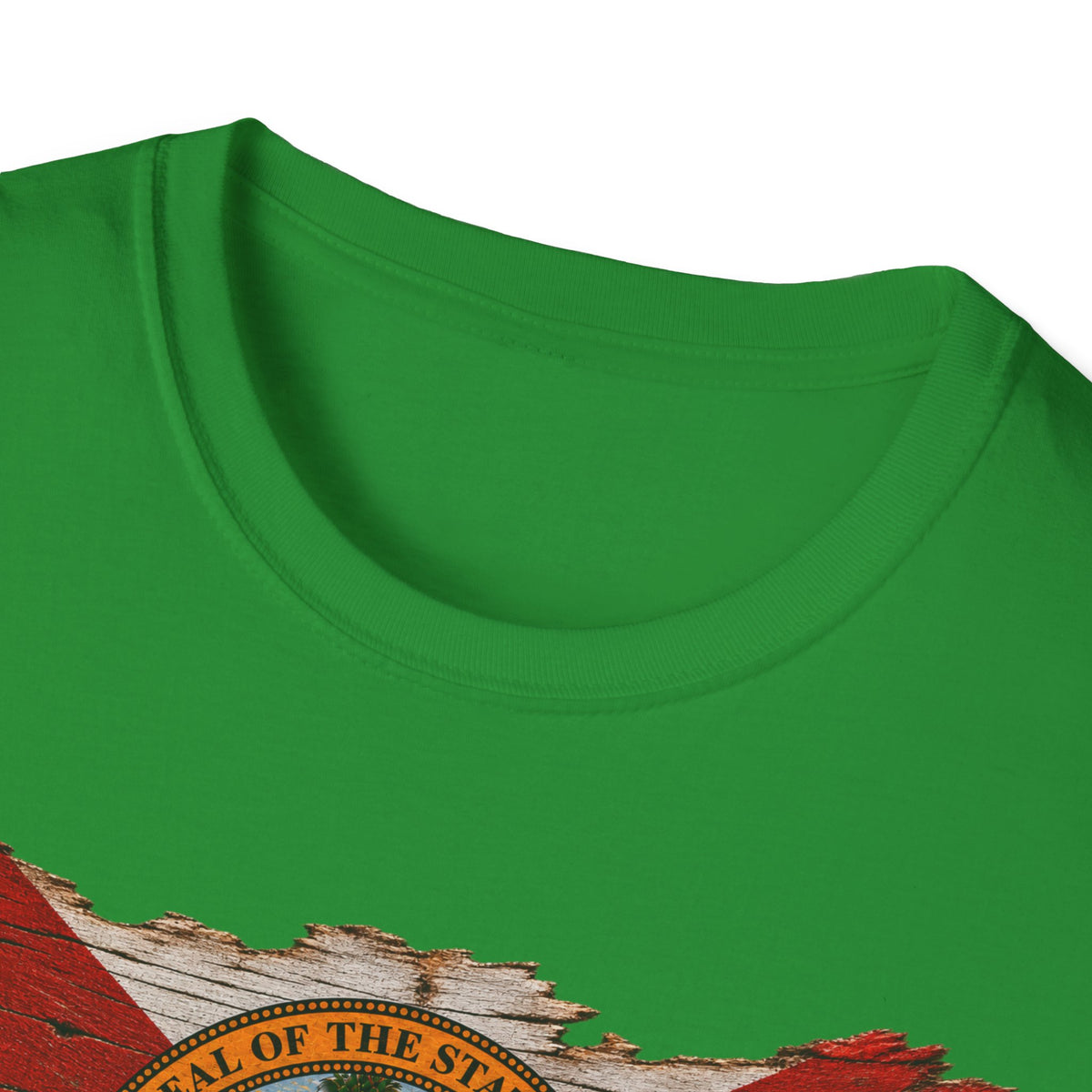 Save Old Florida Unisex Softstyle T-Shirt