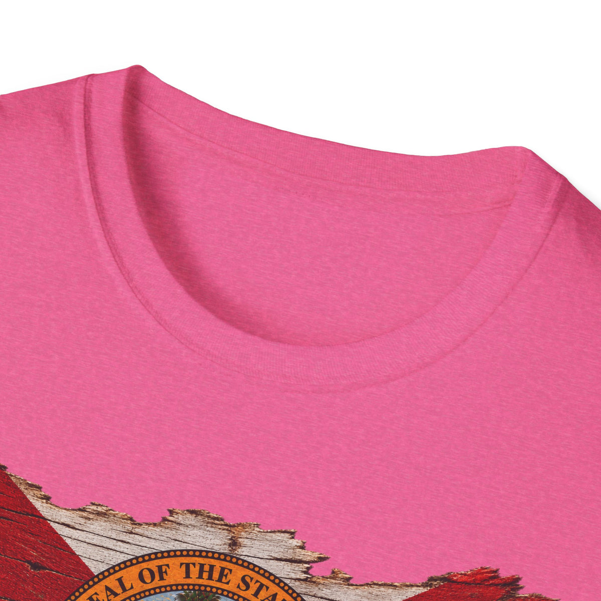 Save Old Florida Unisex Softstyle T-Shirt