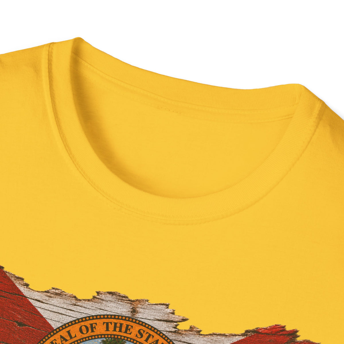 Save Old Florida Unisex Softstyle T-Shirt