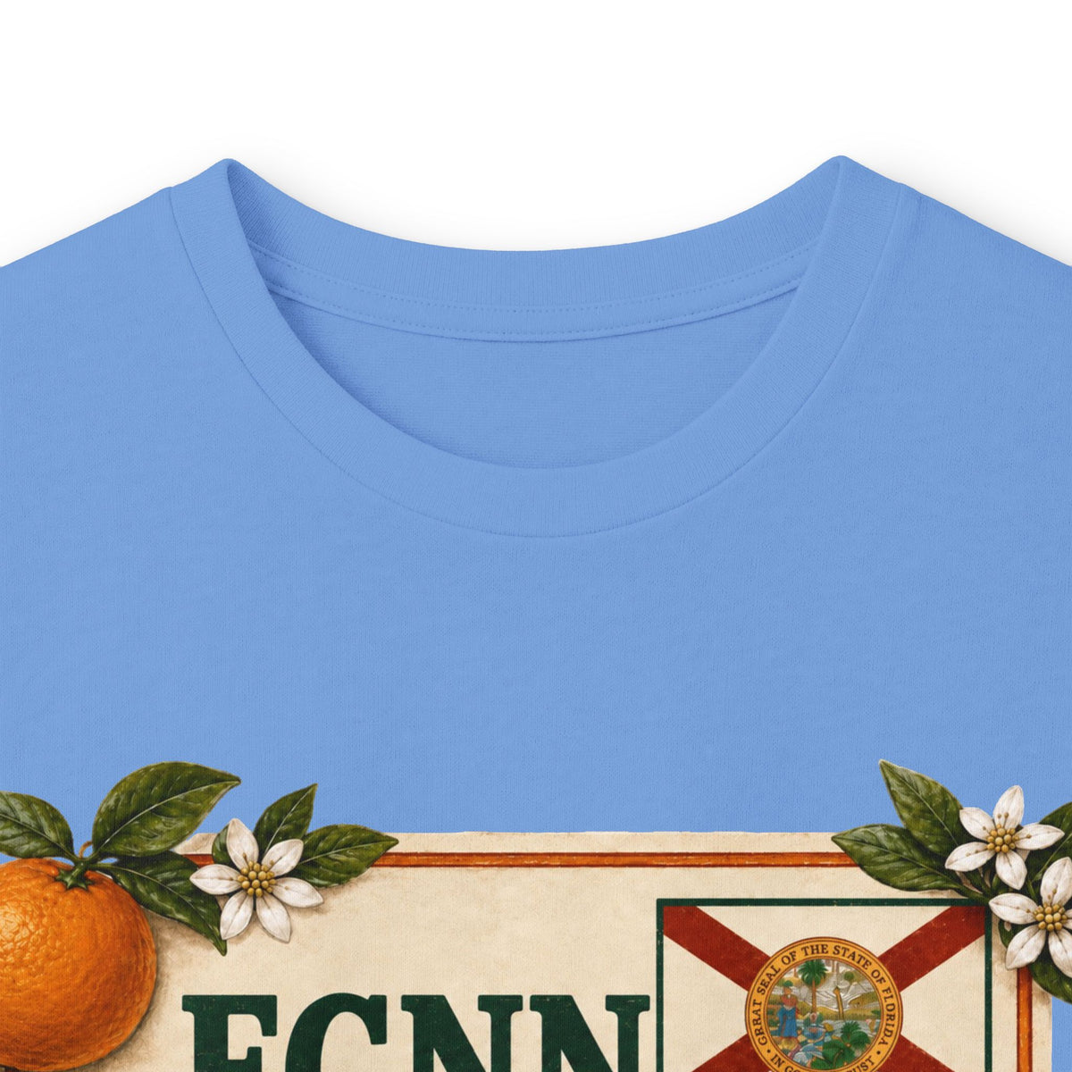 FCNN Unisex Ultra Cotton Long Sleeve Tee