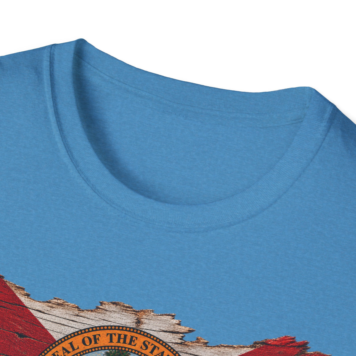 Save Old Florida Unisex Softstyle T-Shirt