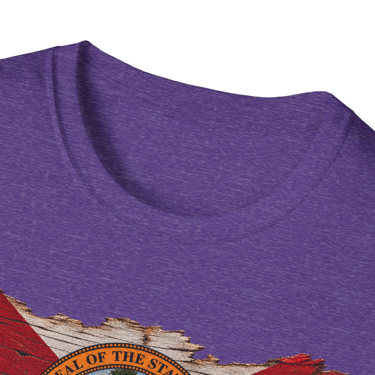 Save Old Florida Unisex Softstyle T-Shirt